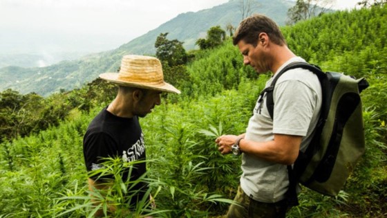 Strain Hunters cestují a hledají ty nejvzácnější odrůdy rostlin konopí - všechny jejich cesty mapují dokumenty, které naleznete na jejich webu; zdroj: forums.strainhunters.com